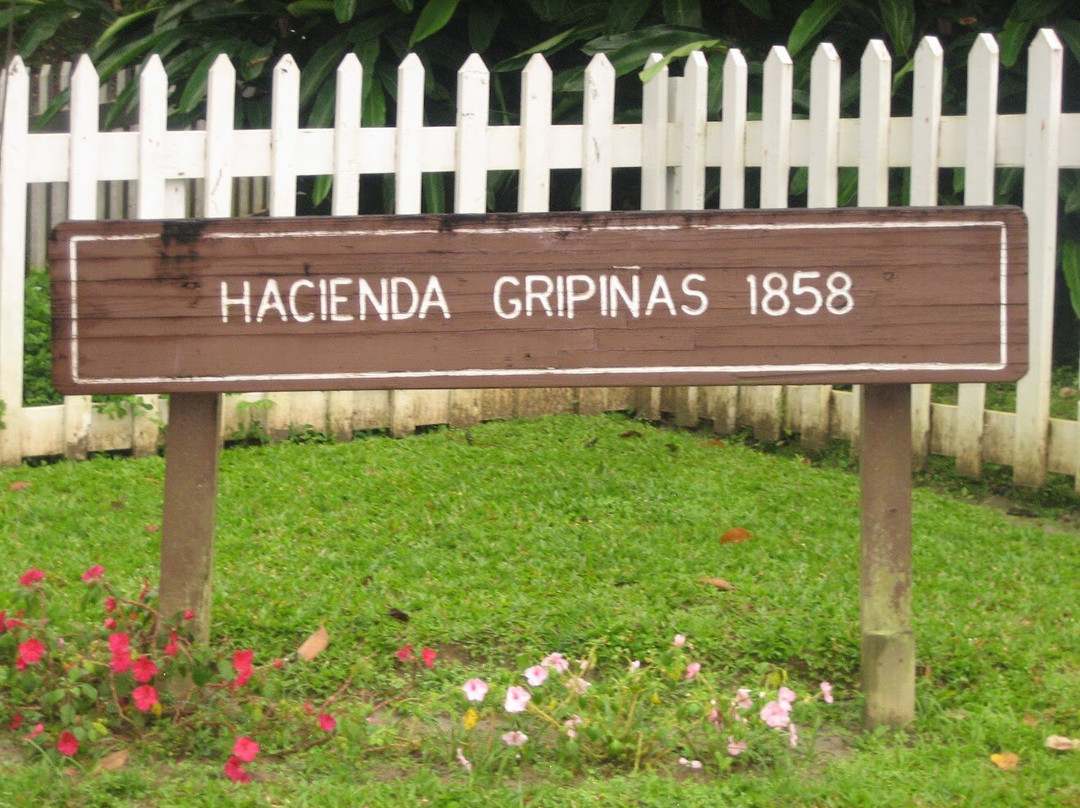 Hacienda Gripinas主图