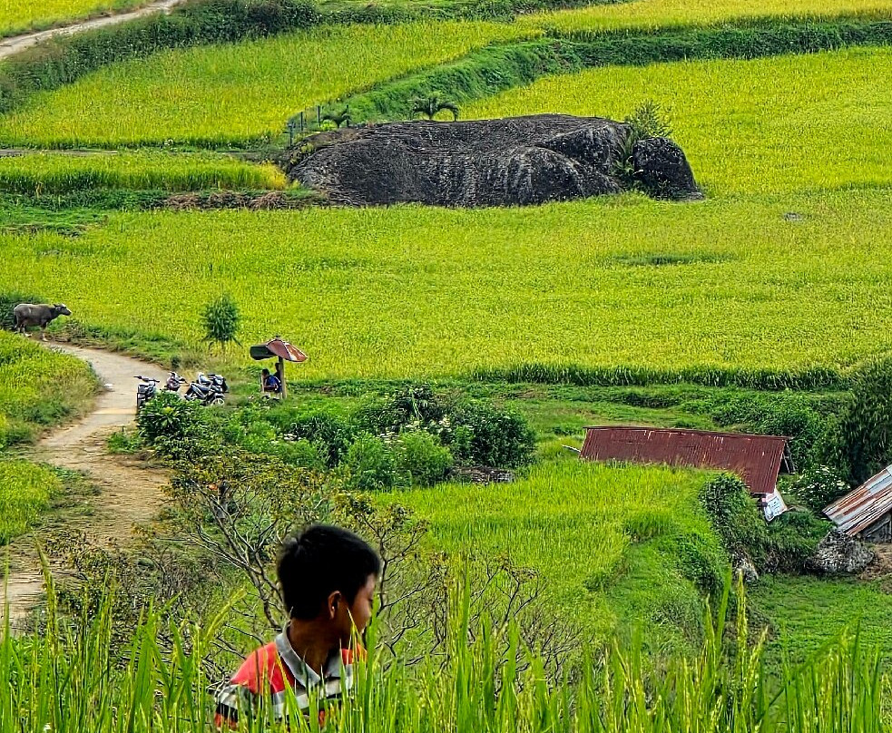 TORAJA TOUR WITH GUIDE SERVICE.-Tana Toraja必去景点
