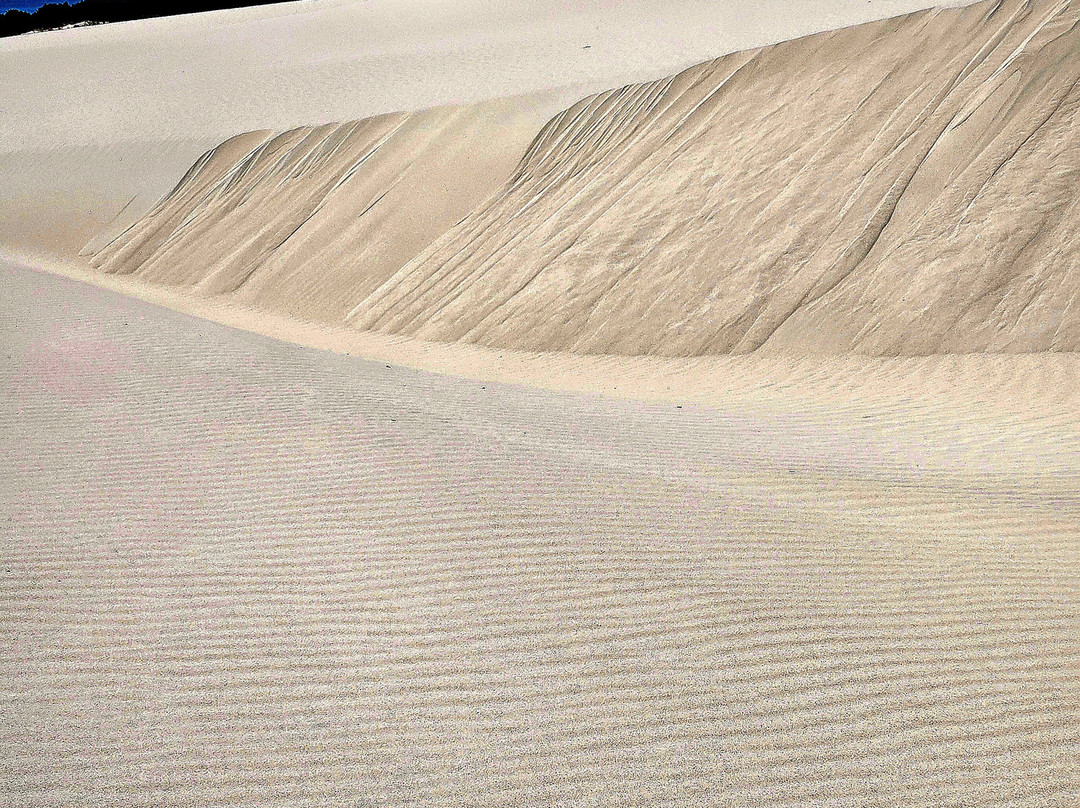 Lacka Dune-韦巴必去景点