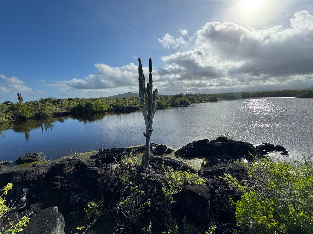 Isabela Island-伊莎贝拉岛必去景点