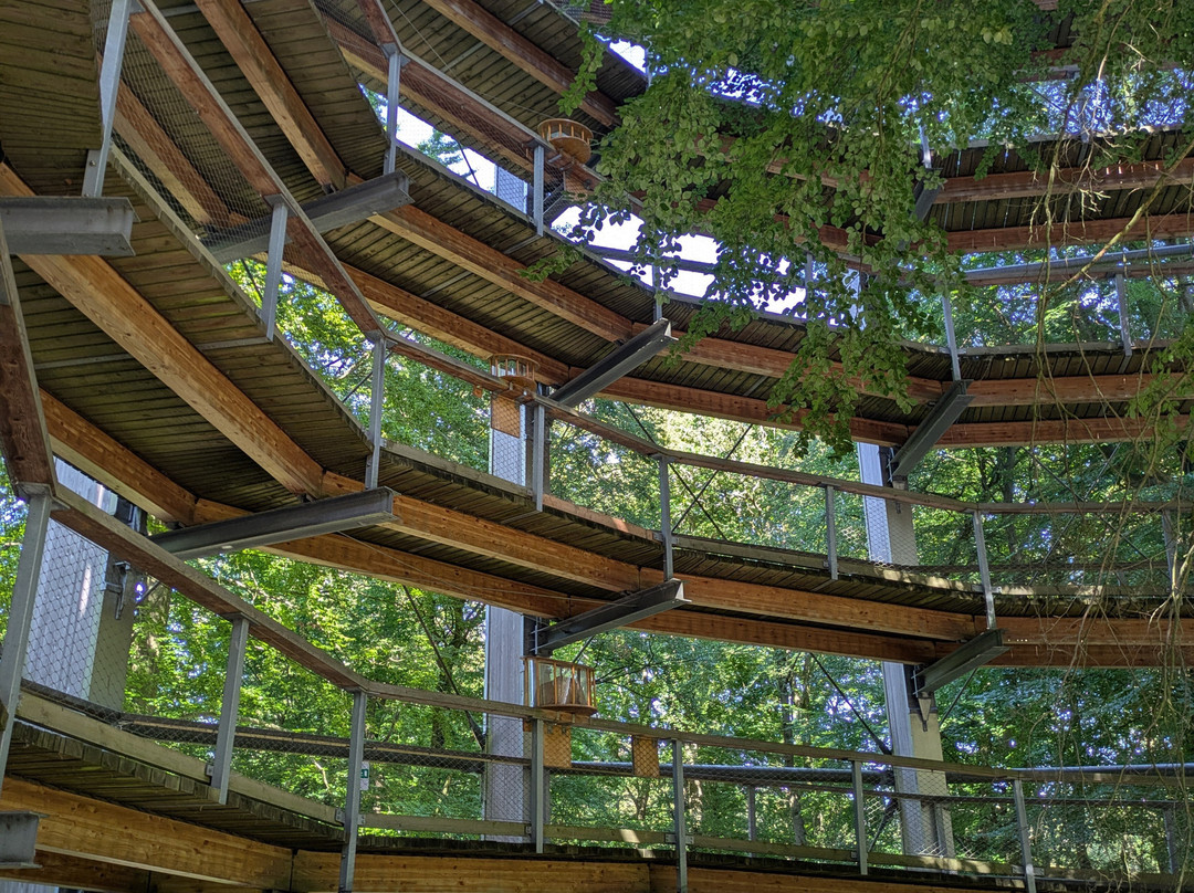 Baumwipfelpfad im Naturerbe Zentrum Rügen-奥茨巴德宾兹必去景点