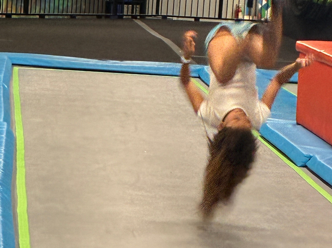 Altitude Trampoline & Adventure Park