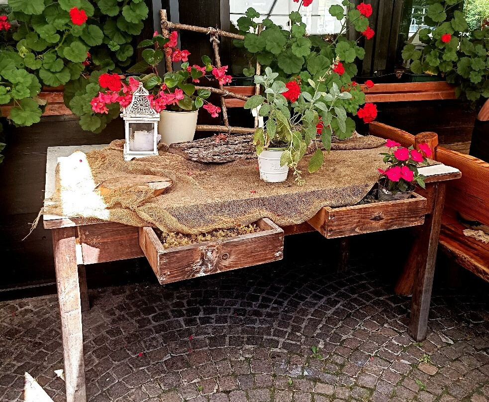 Chalet Rifugio Al Faggio hotel主图