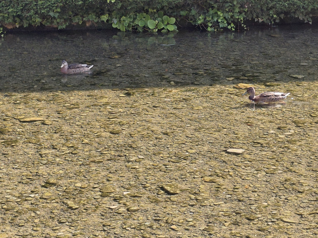 Bourton on the Water-水上伯顿必去景点