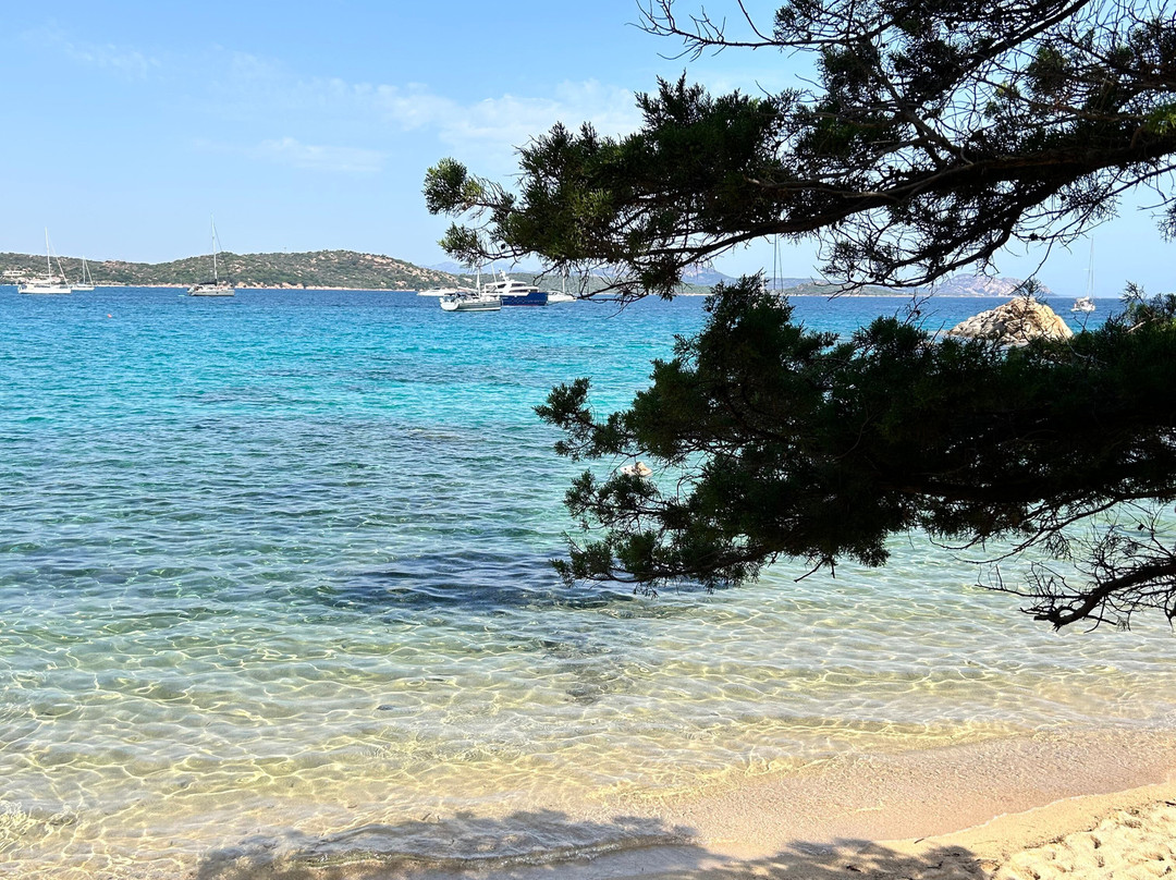 Spiaggia Delle Vacche-Baia Sardinia必去景点