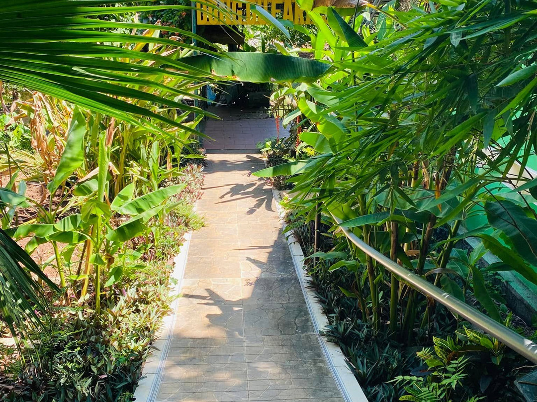 Dong Du Village Farmstay-Nghia Thuan必去景点