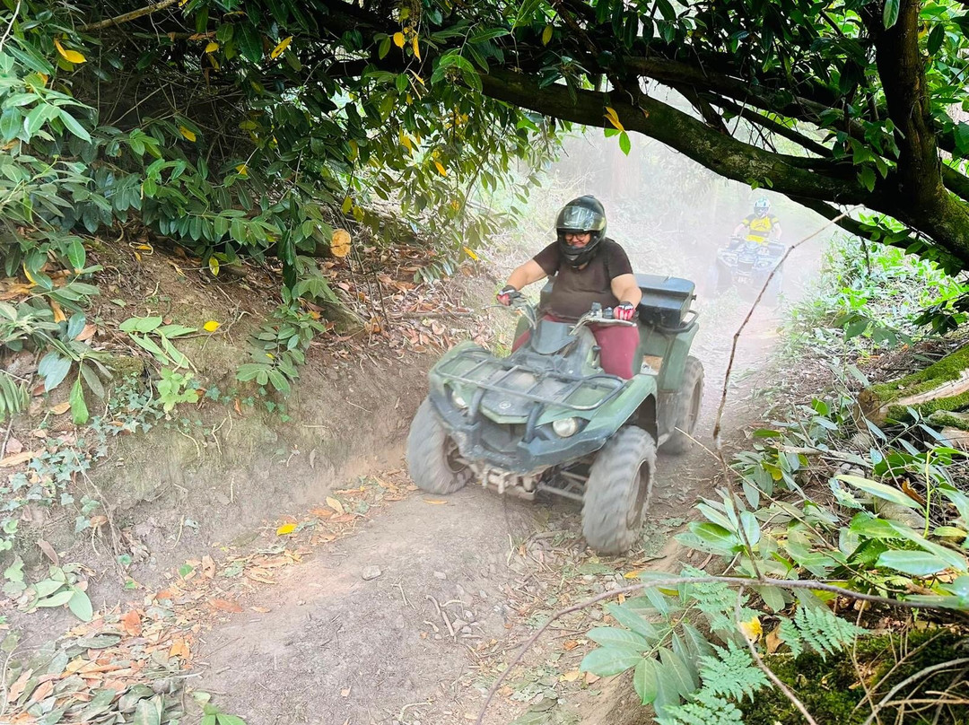 Devon Activity Centre-Ottery St. Mary必去景点