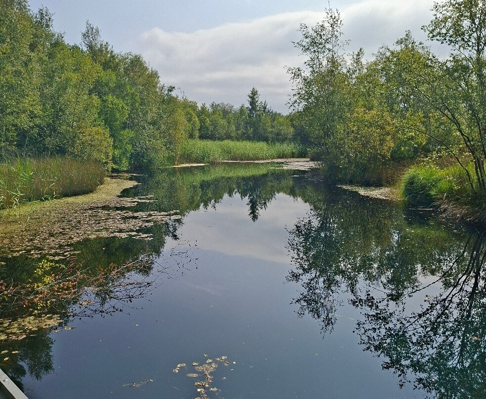 Foulshaw Moss Nature Reserve-肯德尔必去景点