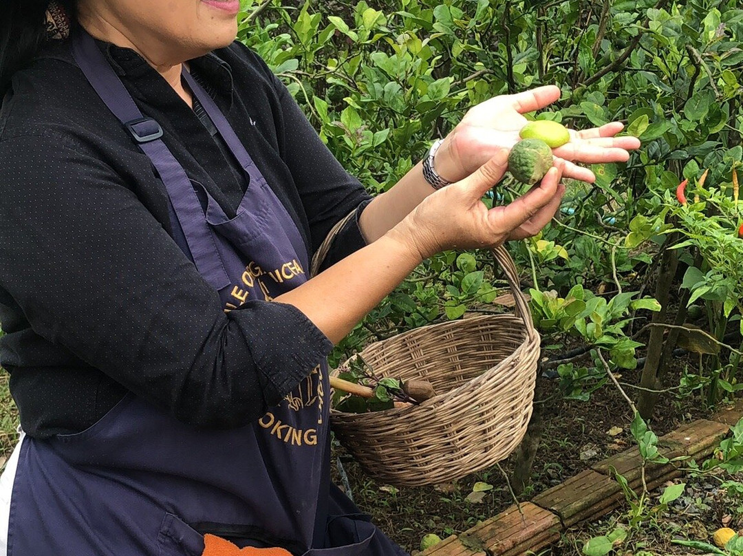 Smile Organic Farm Cooking School-清迈必去景点