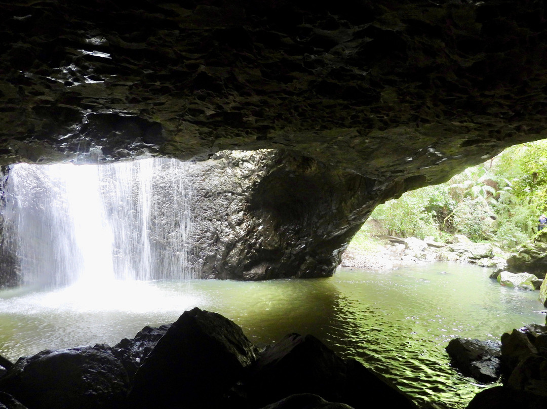 Bos Tours Queensland-Mount Tamborine必去景点