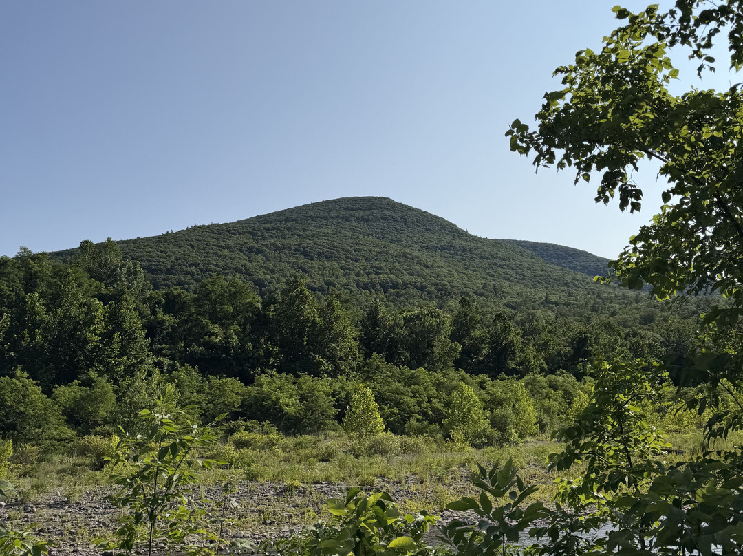 Rail Explorers Catskills Division-Phoenicia必去景点