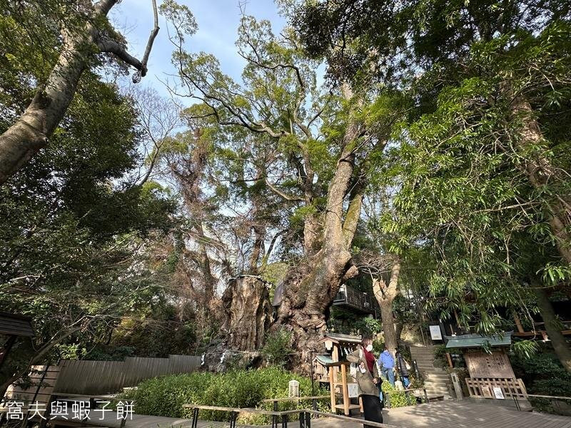 来宫神社-热海市必去景点