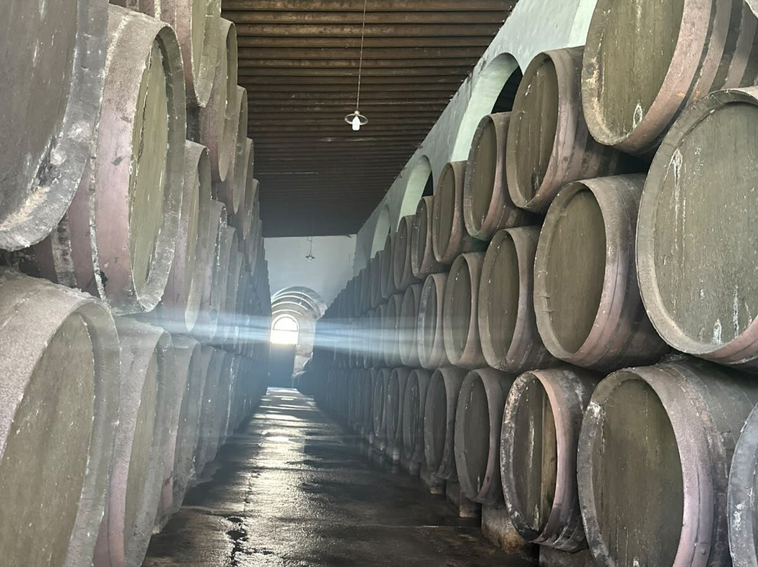 Bodegas Barbadillo-Sanlucar de Barrameda必去景点