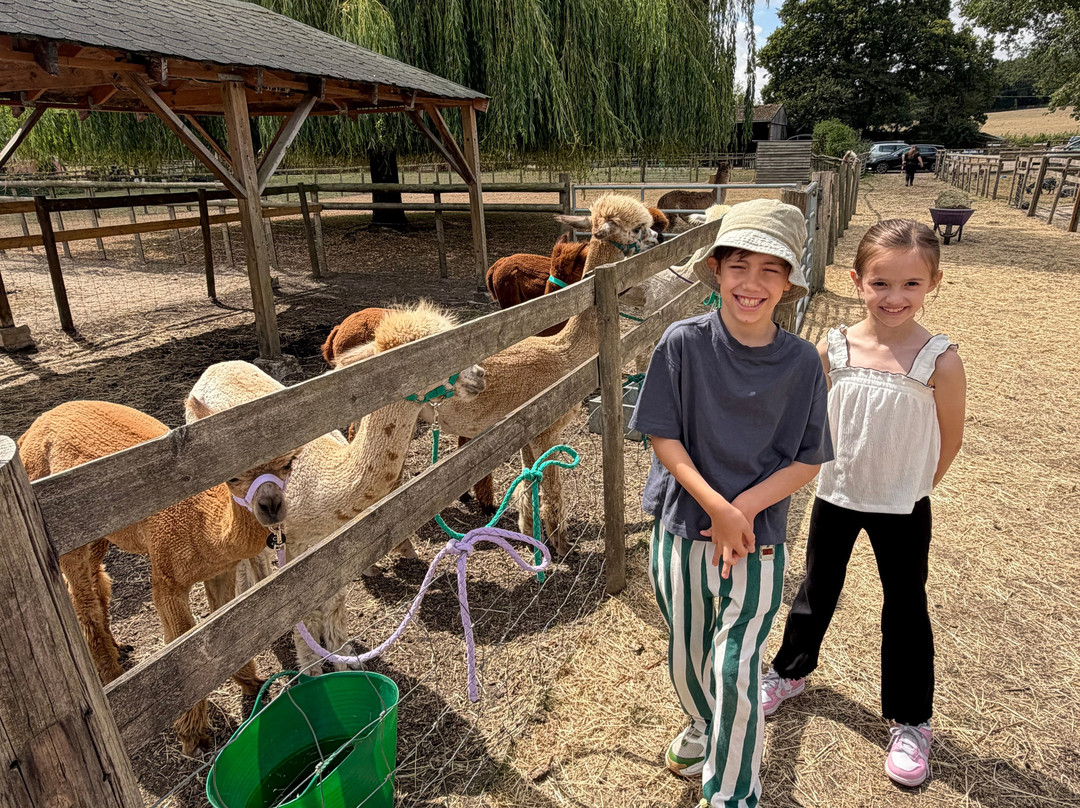 Pennybridge Farm Alpacas-胡克必去景点