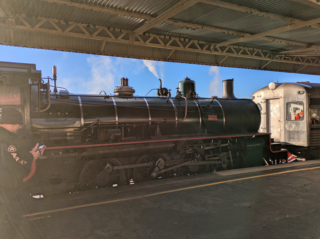 Downssteam Tourist Railway & Museum-图沃柏必去景点