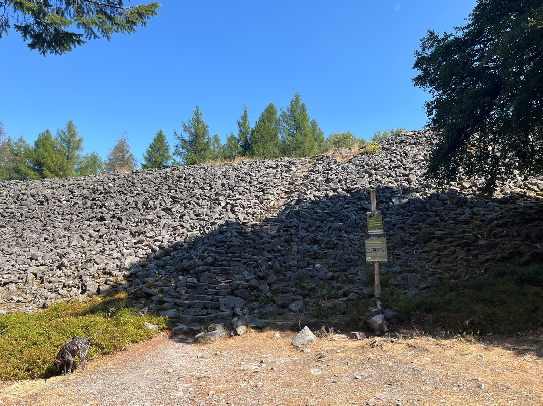 Hunnenring der keltische Ringwall-Nonnweiler必去景点