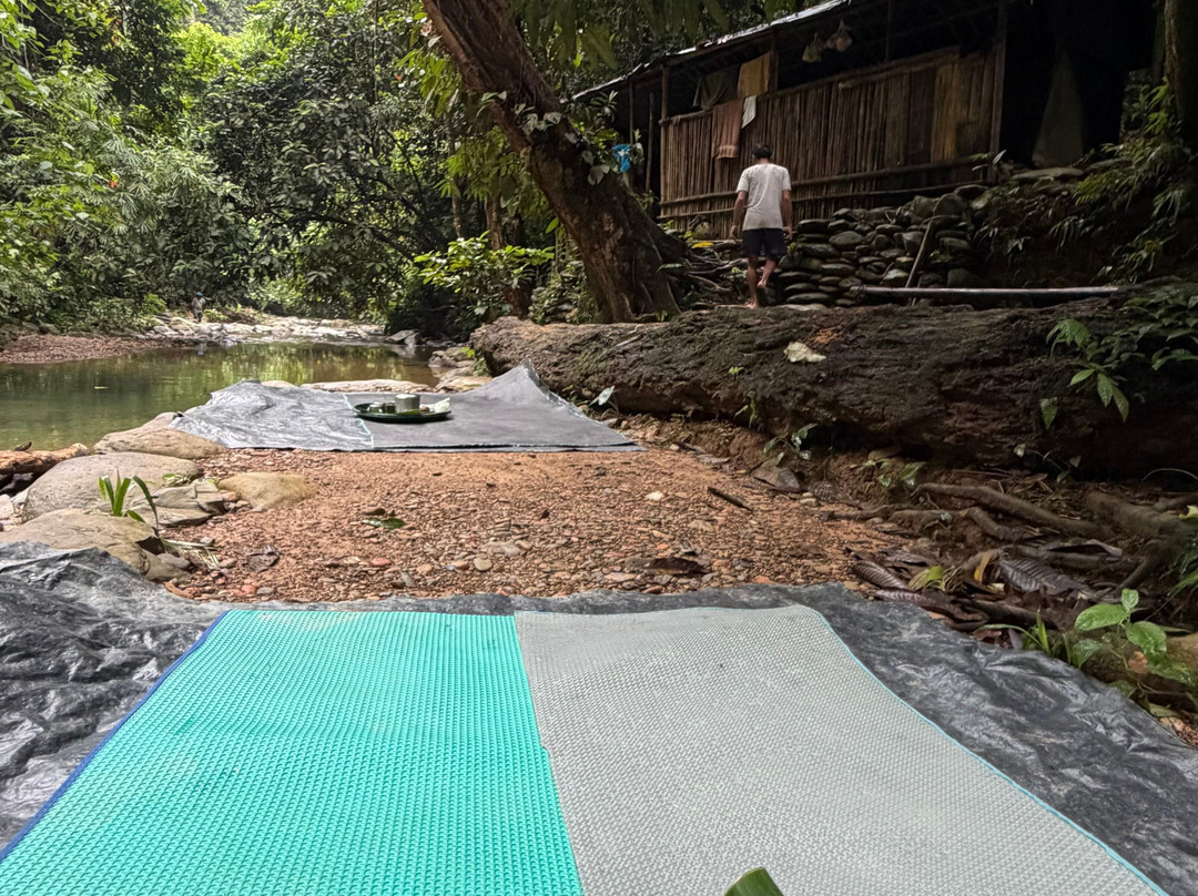 Bukit Lawang Trekking-武吉拉旺必去景点