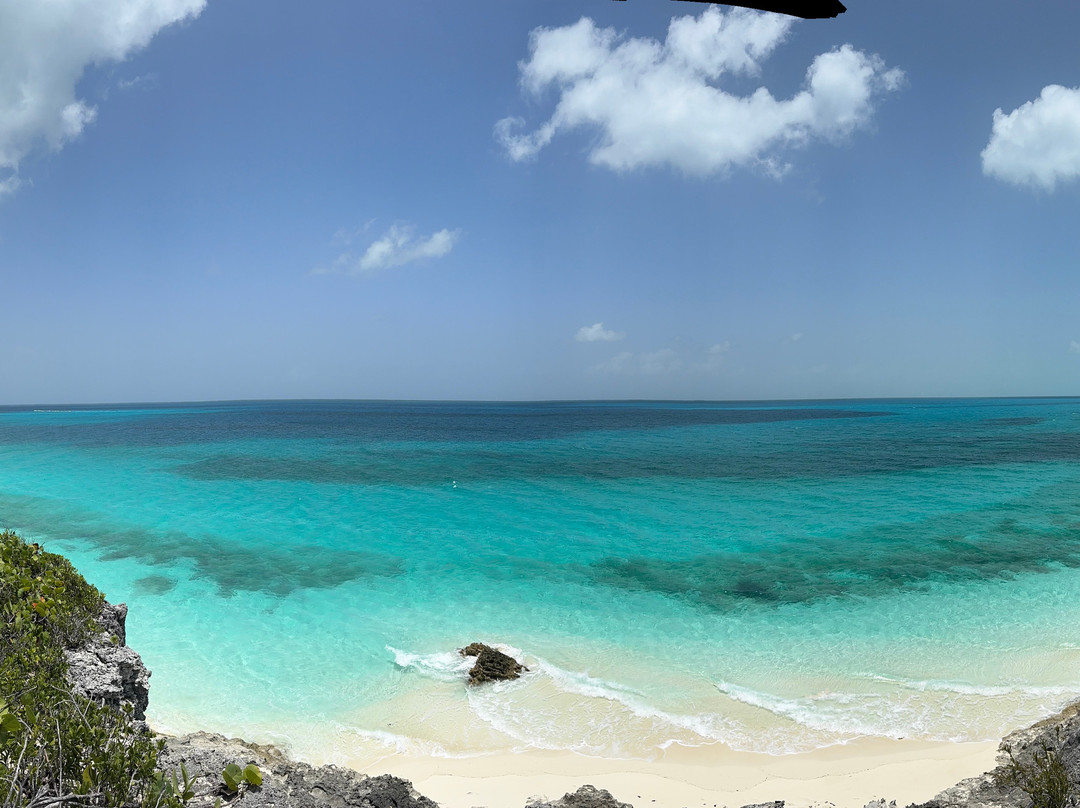 Turtles Nest Bahamas主图