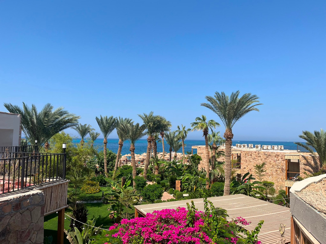Ananea Hurghada