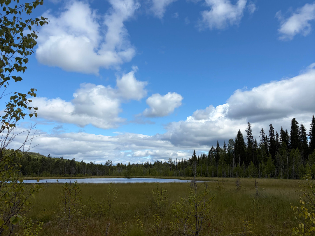 Nordic Husky Farm-Stromsund必去景点