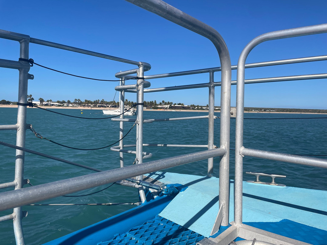 Perfect Nature Cruises-Monkey Mia必去景点