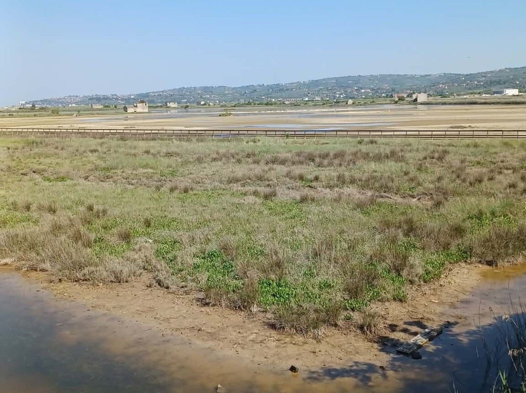 Secovlje Salina Nature Park-Seca必去景点