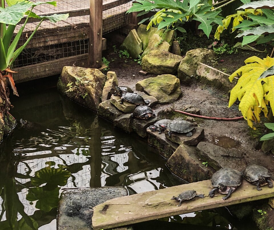 Manor Heath and Jungle Experience-哈里法克斯必去景点