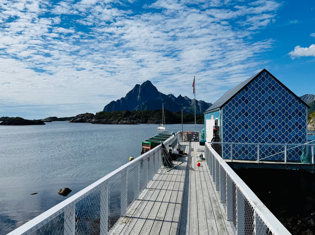 The Lofoten Aquarium-Kabelvag必去景点