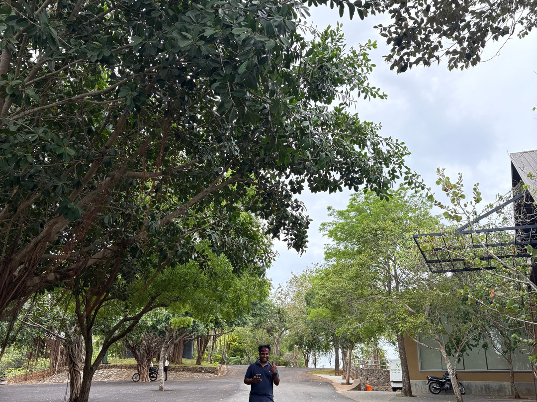 Birds Resort Hambantota主图