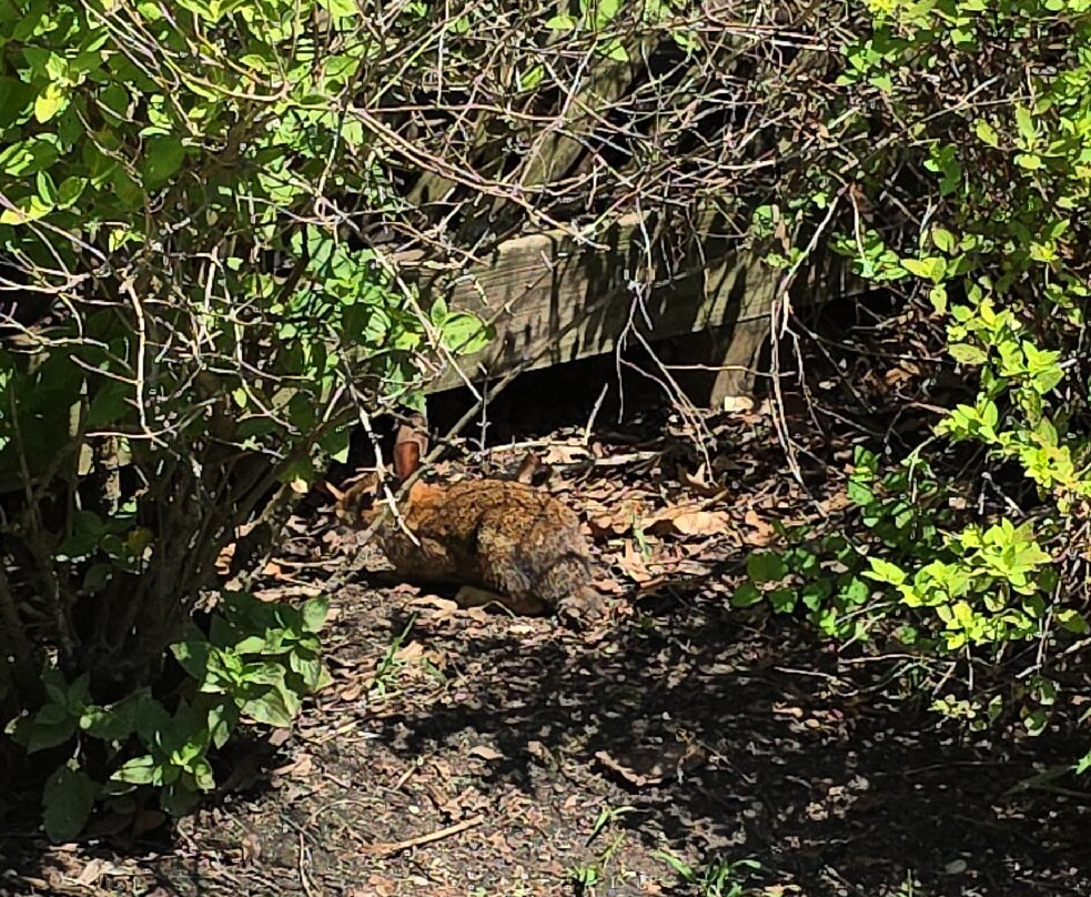 Floral Park Centennial Gardens