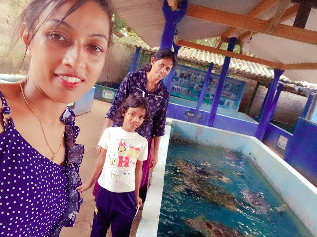 Sea Turtle Farm Galle Mahamodara-加勒必去景点