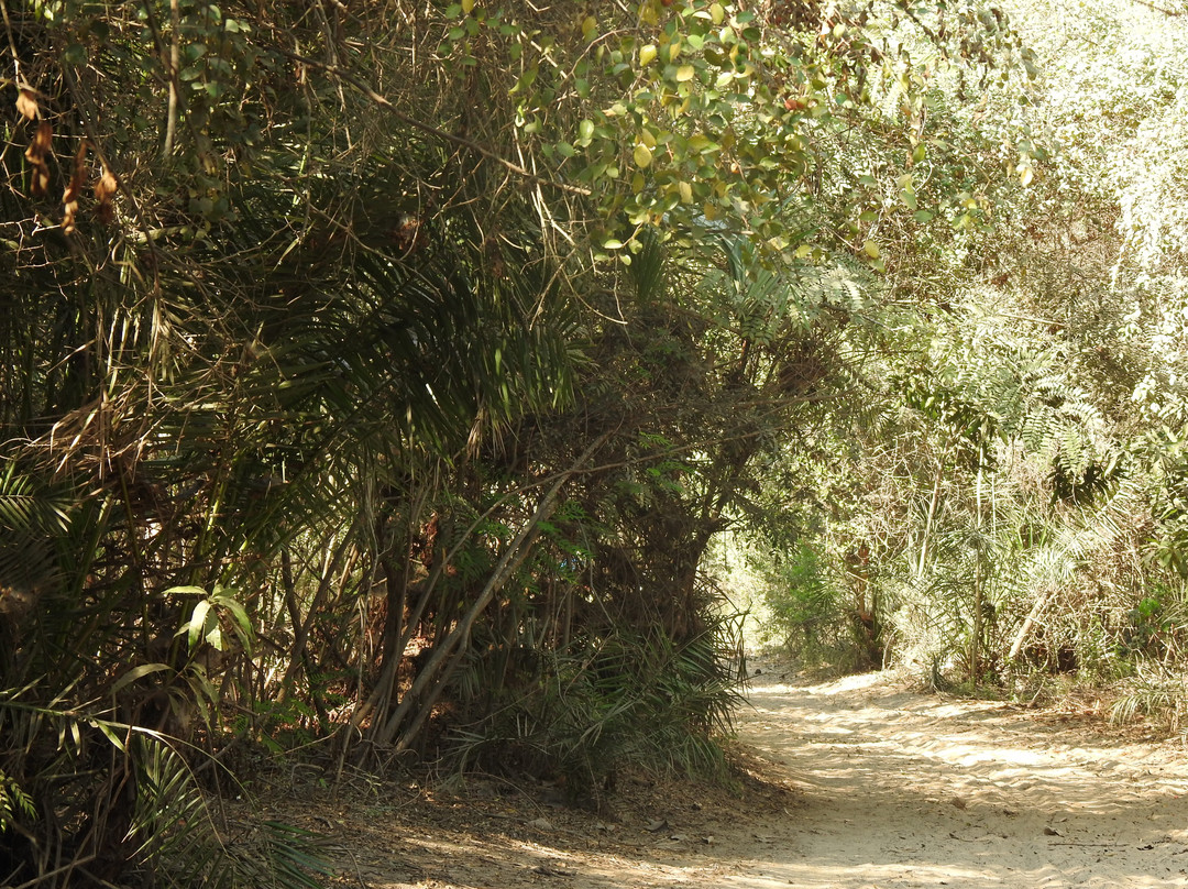 Zazamalala Wildlife Centre-Morondava必去景点