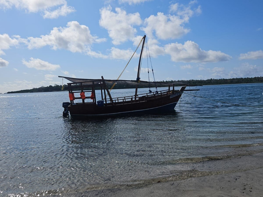 Mafia Marine National Park-马菲亚岛必去景点