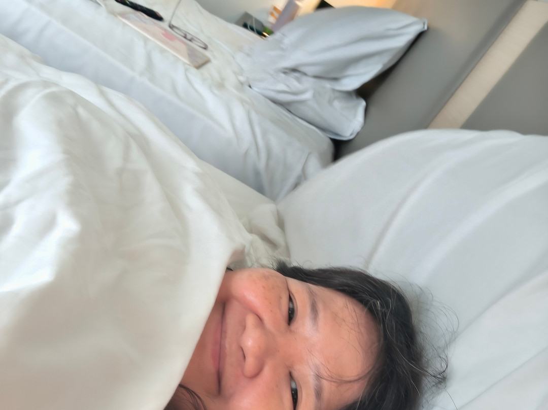 塞达维蒂斯北酒店主图