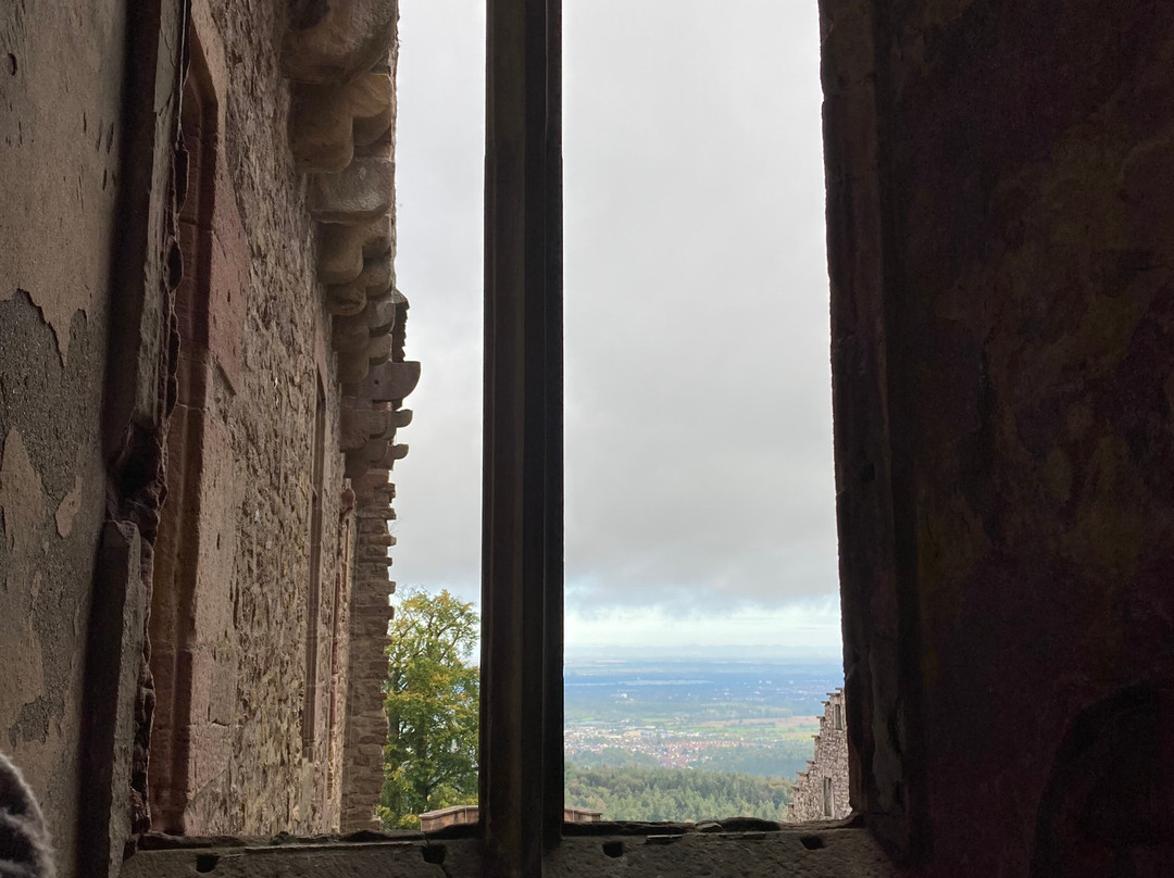Altes Schloss Hohenbaden-巴登巴登必去景点