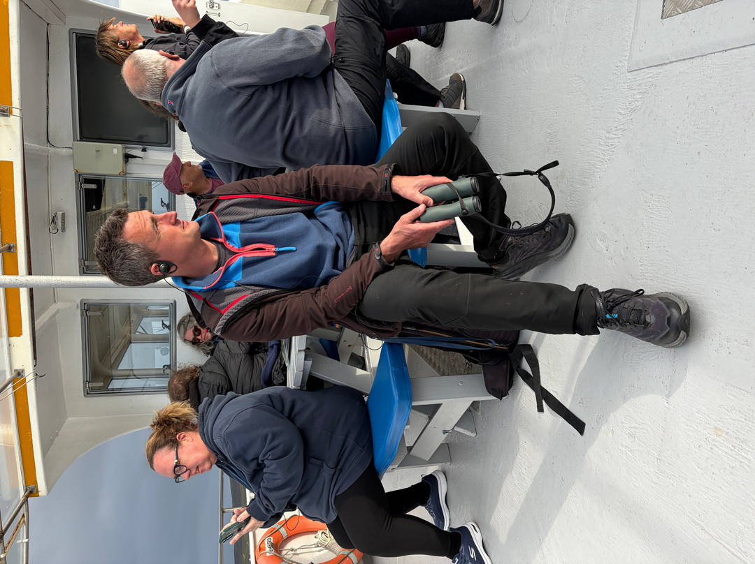 Seabirds and Seals - The Original Noss Boat Tours-Lerwick必去景点