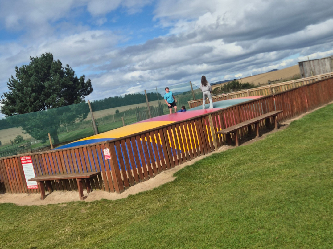 Active Kids Adventure Park-Stanley必去景点