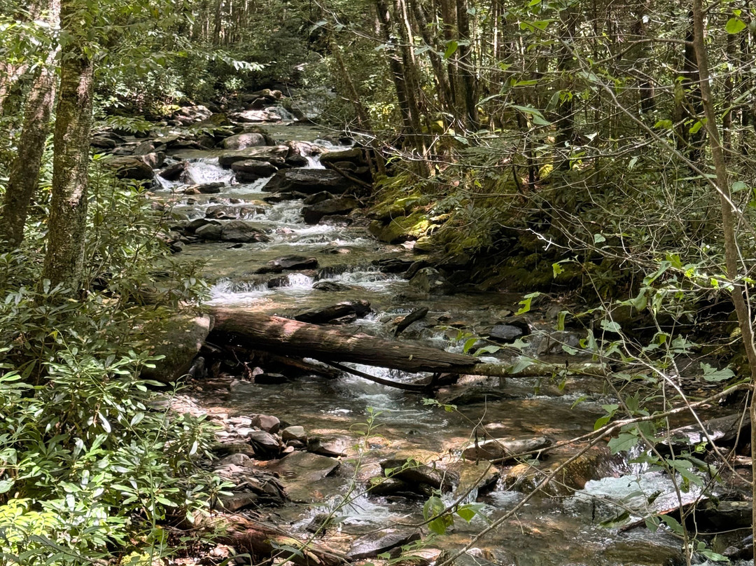 Mount LeConte-大雾山国家公园必去景点