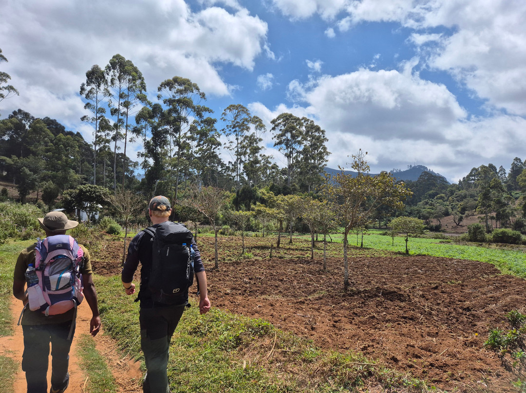 Usambara Eco Tours-卢绍托必去景点