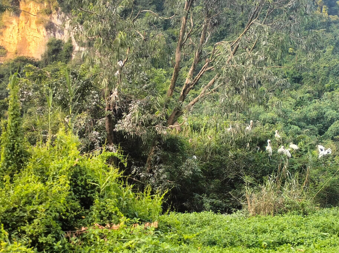 Thung Nham Ecotourism Zone - Ninh Binh-Ninh Hai必去景点