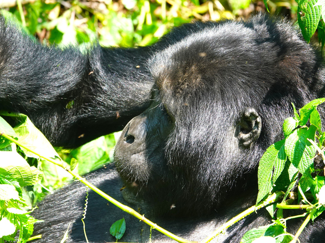 Hidden Gems of Uganda-卡巴莱必去景点