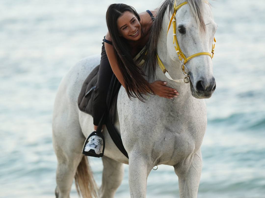 HORSE RIDING RIAMBEL- Centre Equestre De Riambel-Riambel必去景点