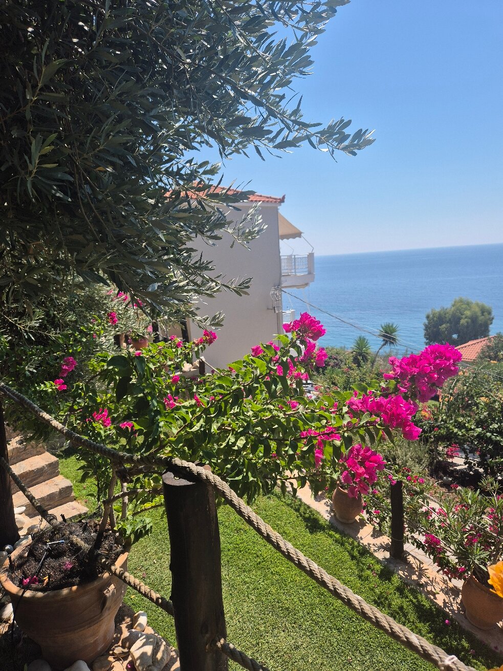 马利亚波马里公寓酒店-旅行者