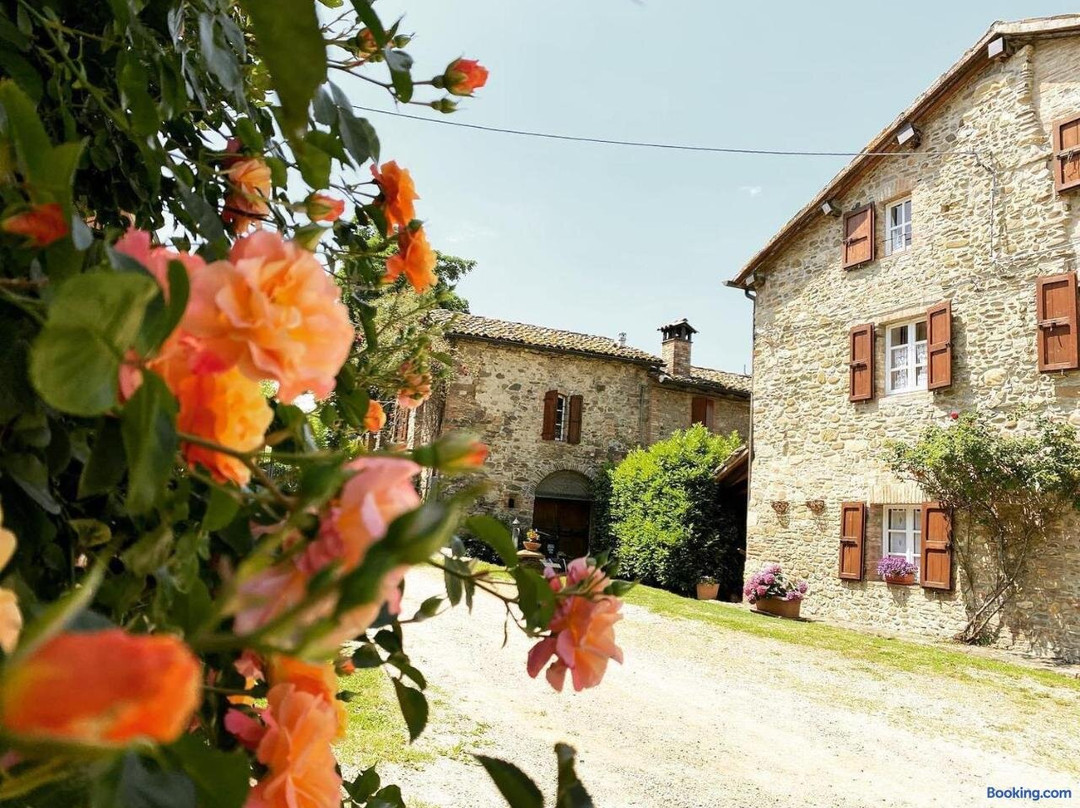 Cammino Nel Verde