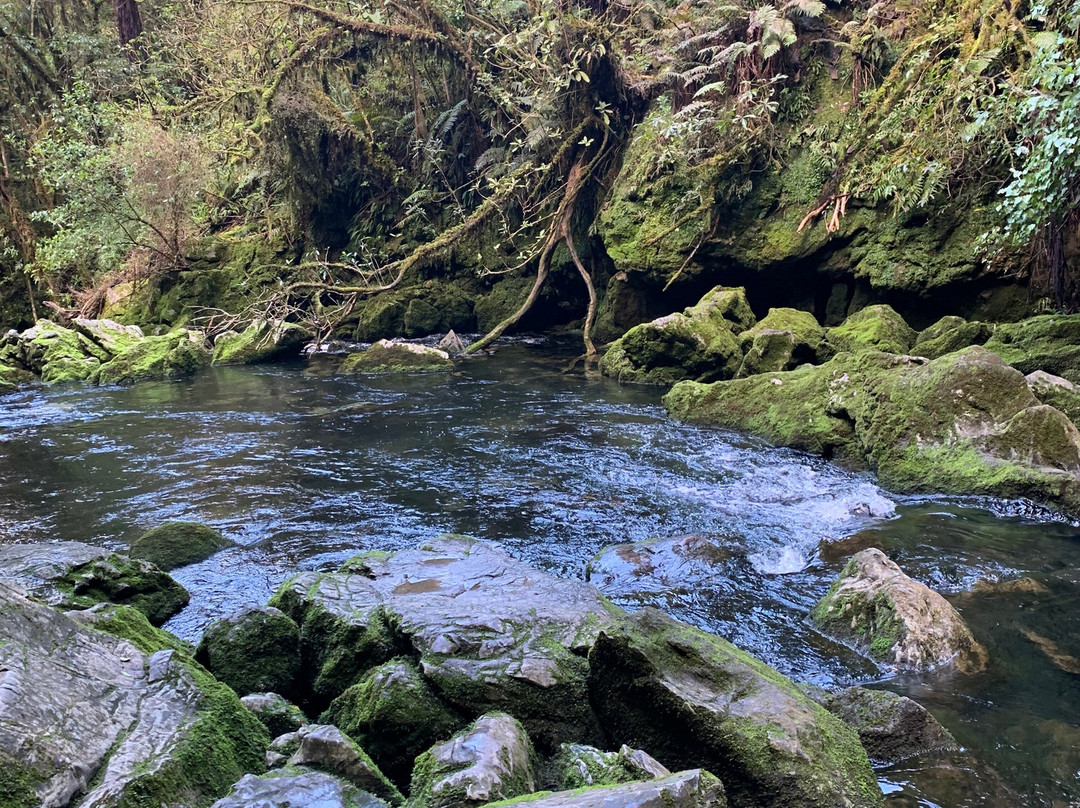 Riwaka Resurgence-Kahurangi National Park必去景点