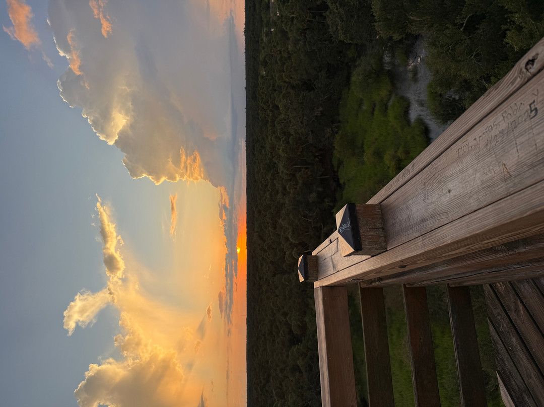 Myakka River State Park-萨拉索塔必去景点