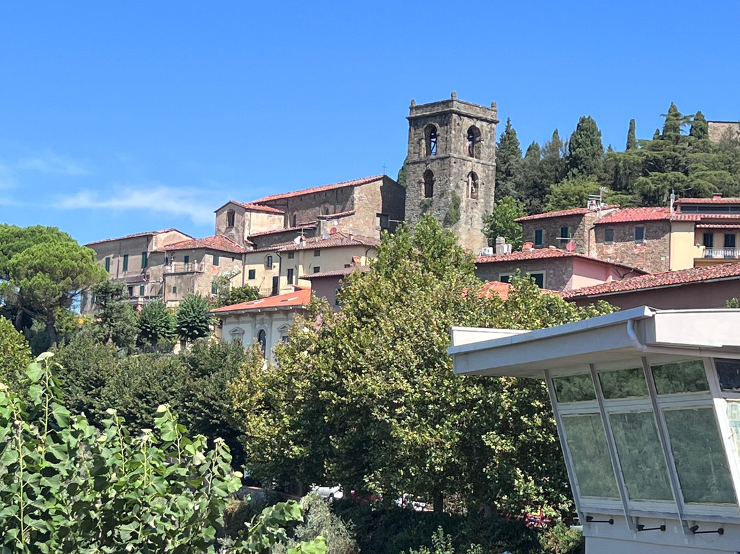 Montecatini Alto-Montecatini Alto必去景点