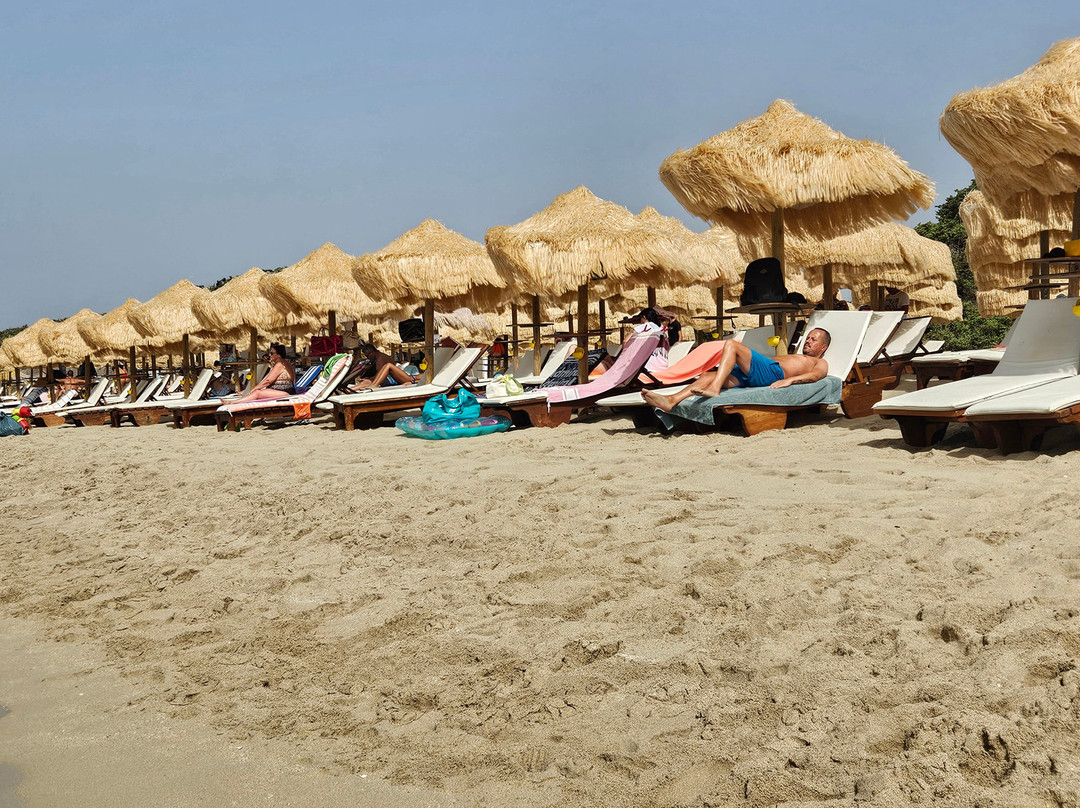 Samanà Beach-Punta Prosciutto必去景点