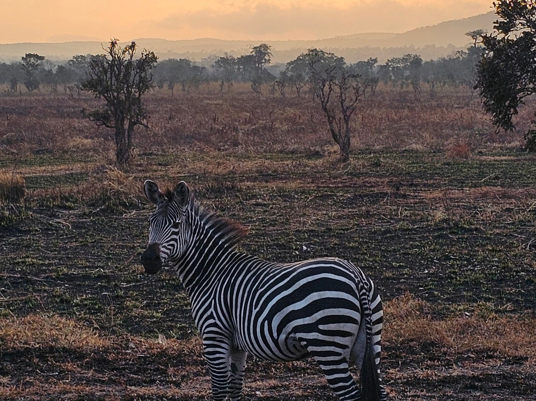 Passionate Safaris-Dar es Salaam必去景点