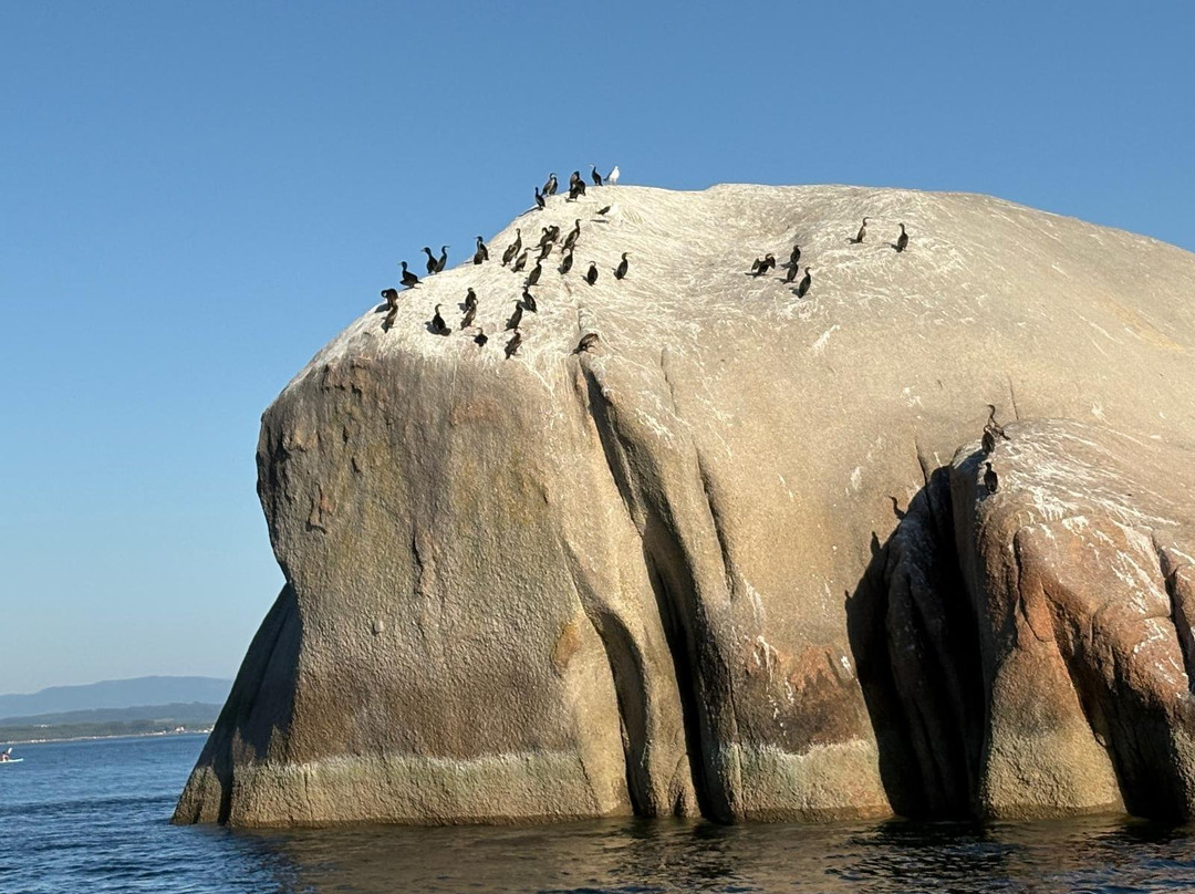 Oceanic Arousa Tours-Boiro必去景点